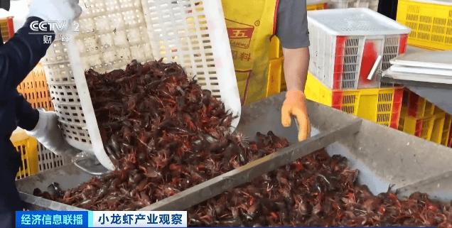 皇冠信用网怎么注册
_价格暴跌近50%皇冠信用网怎么注册
！“接下来还会降”！青岛正大量上市……