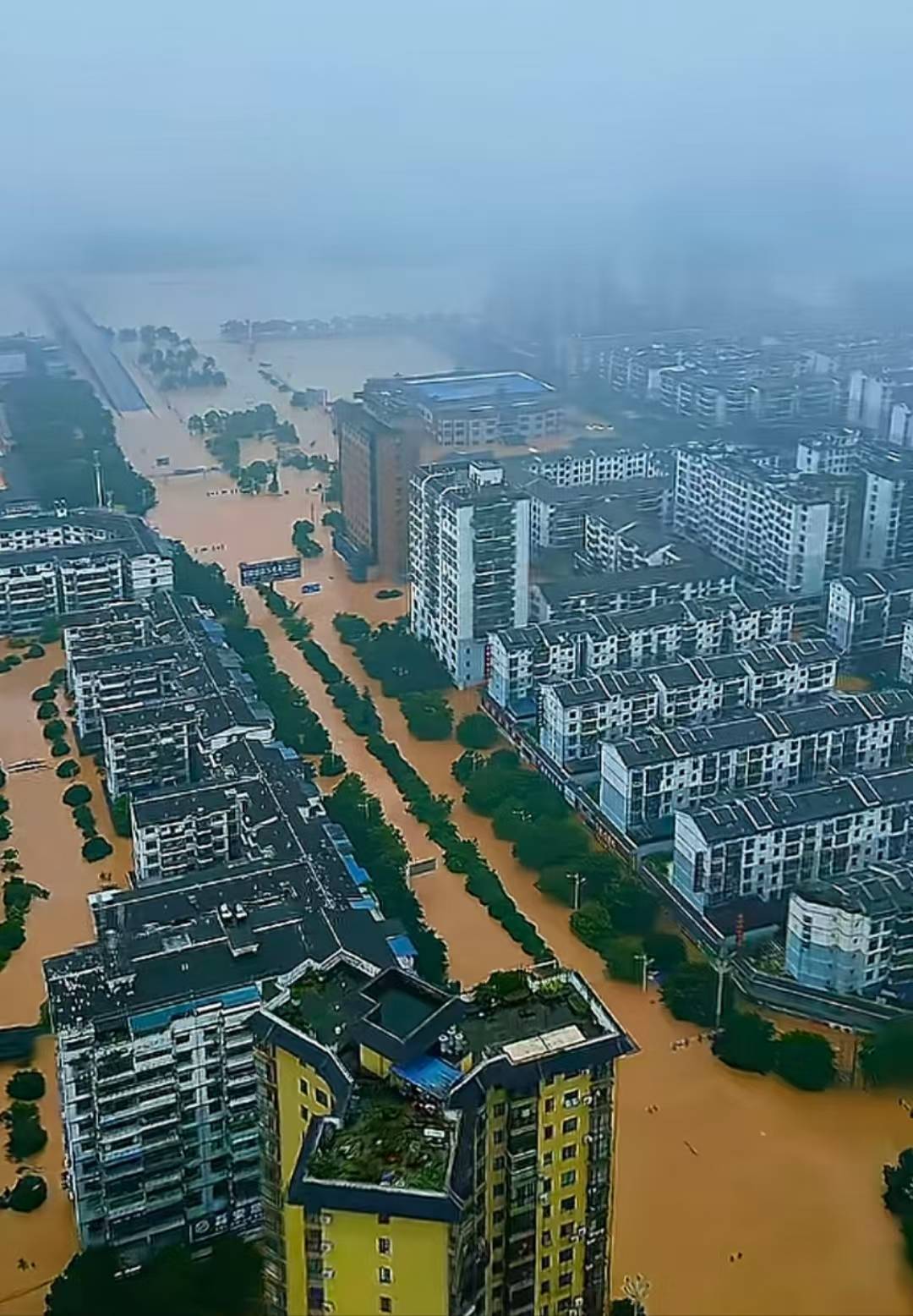 皇冠信用网会员注册_榕江再次面临洪峰过境！志愿者称清淤消杀被紧急叫停皇冠信用网会员注册，居民：刚打扫两天卫生，还没弄完