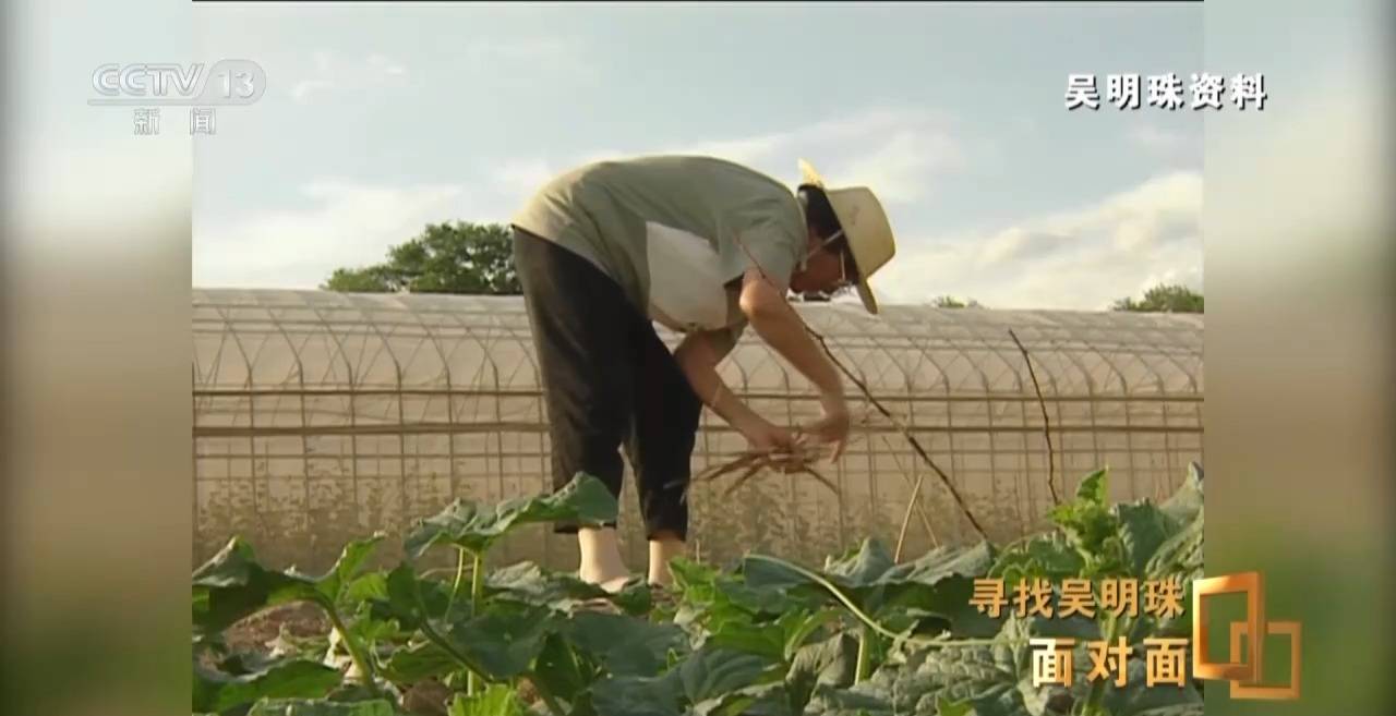 皇冠信用网出租足球_面对面丨中国人的吃瓜自由要感谢她皇冠信用网出租足球！吴明珠说她的一生就是结几个好瓜献给人民