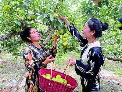 皇冠信用盘会员账号_在新疆皇冠信用盘会员账号，一路风景一路歌