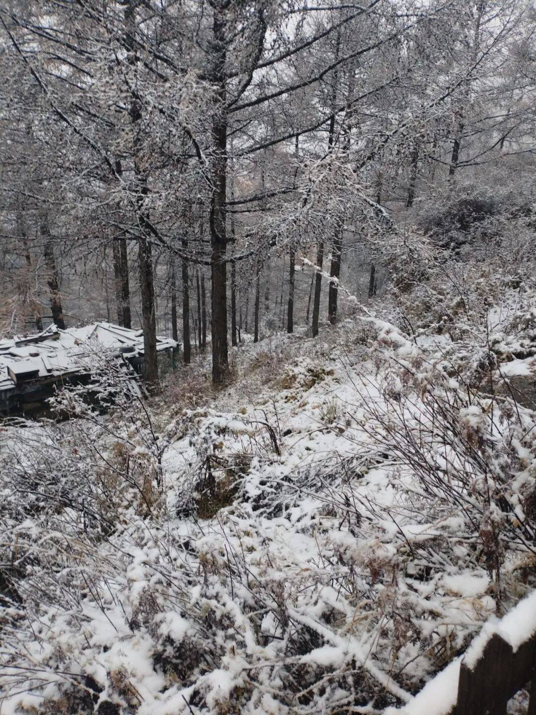 皇冠信用網登1_石家庄下雪了！河北将迎中到大雪皇冠信用網登1，未来三天……