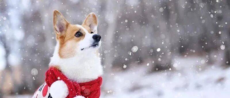 皇冠官网_雪在路上了！北京今夜局地中雪皇冠官网，降雪路线——