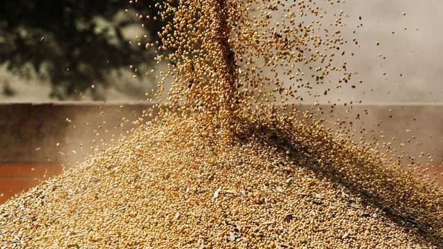 皇冠信用网_中国采购800万吨美国大豆皇冠信用网，美媒争相“报喜”，实则中美角色已互换